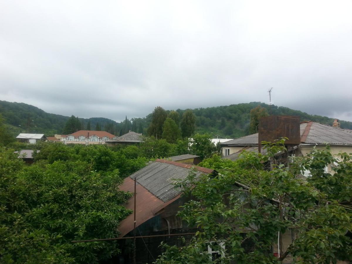 Guest House Yuzhnaya Palmira 피준다 외부 사진