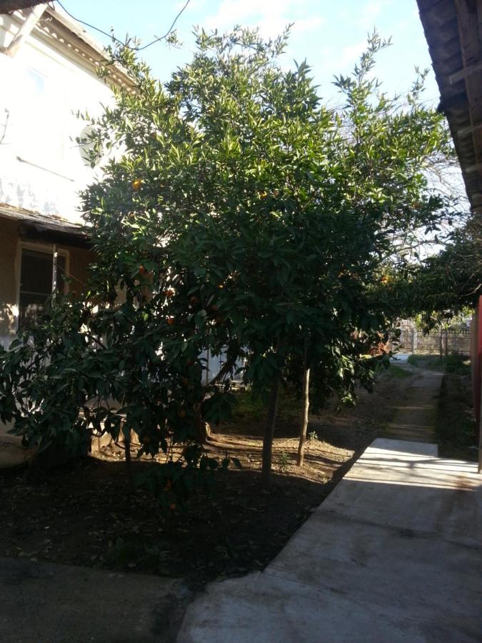 Guest House Yuzhnaya Palmira 피준다 외부 사진